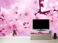 Фотообои Цветение персика весной - 2