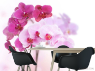 Фотообои Белые и розовые орхидеи - 1