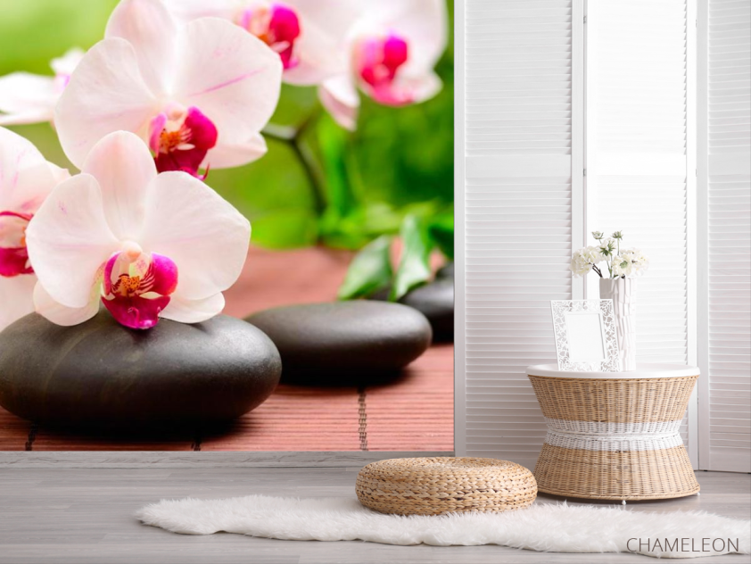 Фотошпалери Орхідеї біло-малинові - 2