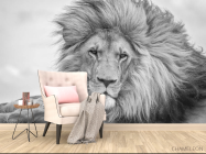 Фотообои лев - 4
