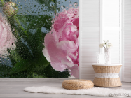 Фотошпалери Рожеві півонії з краплями дощу - 2