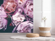 Фотошпалери Рожеві троянди - 2