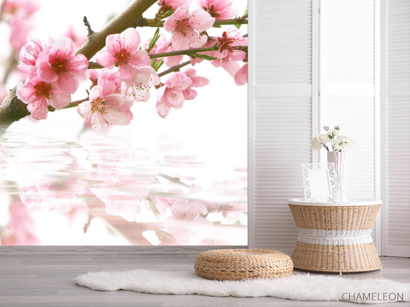 Фотошпалери цвіт вишні над водою - 2