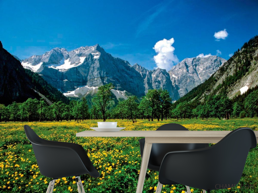 Фотошпалери Квітковий луг гори - 1