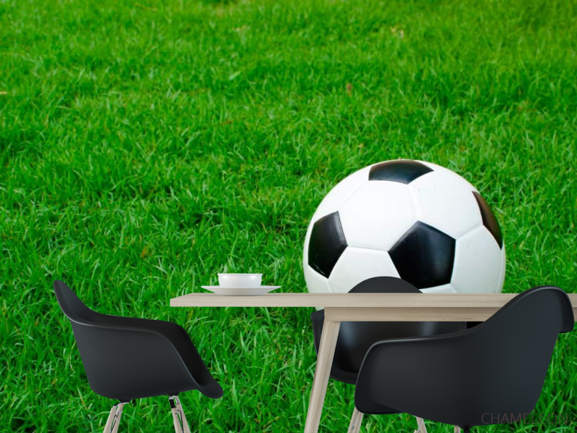 Фотошпалери Футбольний м'яч - 1