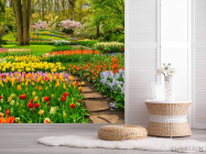 Фотошпалери різнобарвна квіткова поляна - 2
