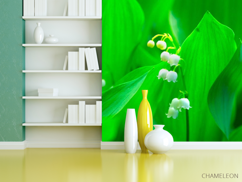 Фотошпалери Конвалія - 3