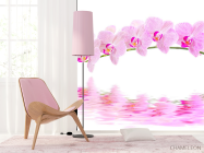 Фотошпалери Відображення орхідей - 4