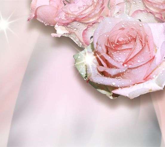 Фотообои 3д розы 18767