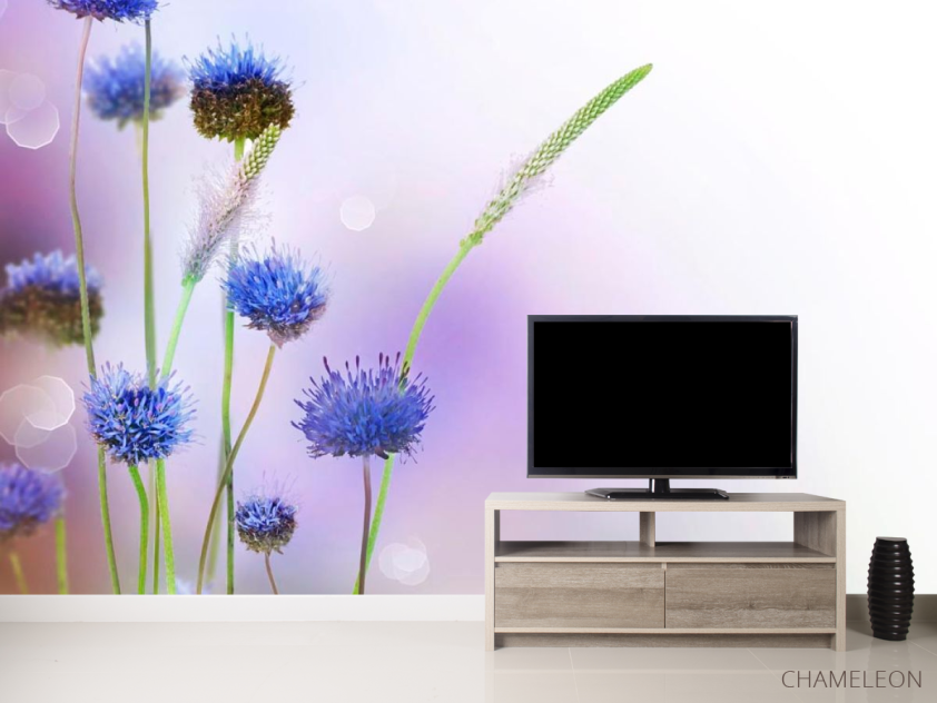 Фотообои Степные голубые цветы - 2