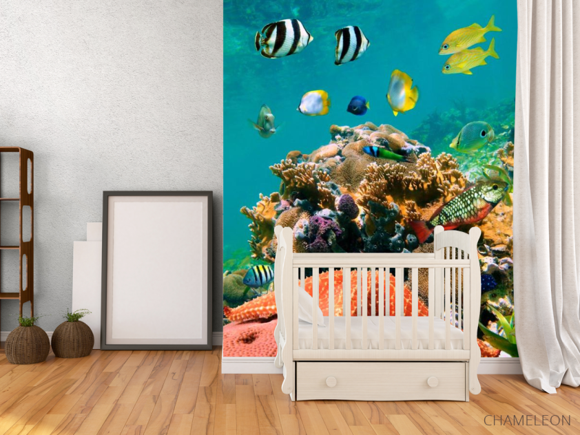 Фотообои Морская звезда на рифе - 2