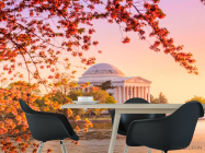 Фотошпалери Готель в Олександрії - 1