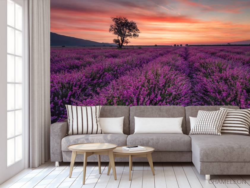 Фотообои сиреневое поле и розовый закат - 3