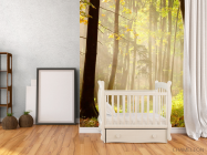 Фотообои Деревья, лес - 2