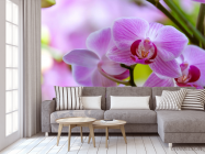 Фотообои орхидеи с листиком - 3