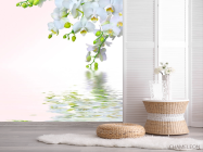 Фотошпалери Білосніжна омела - 2