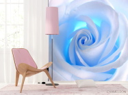 Фотошпалери троянда - 4