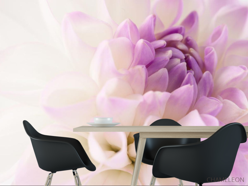 Фотошпалери біло-бузковий квітка - 1