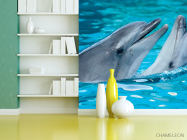 Фотошпалери Ніжність дельфінів - 3