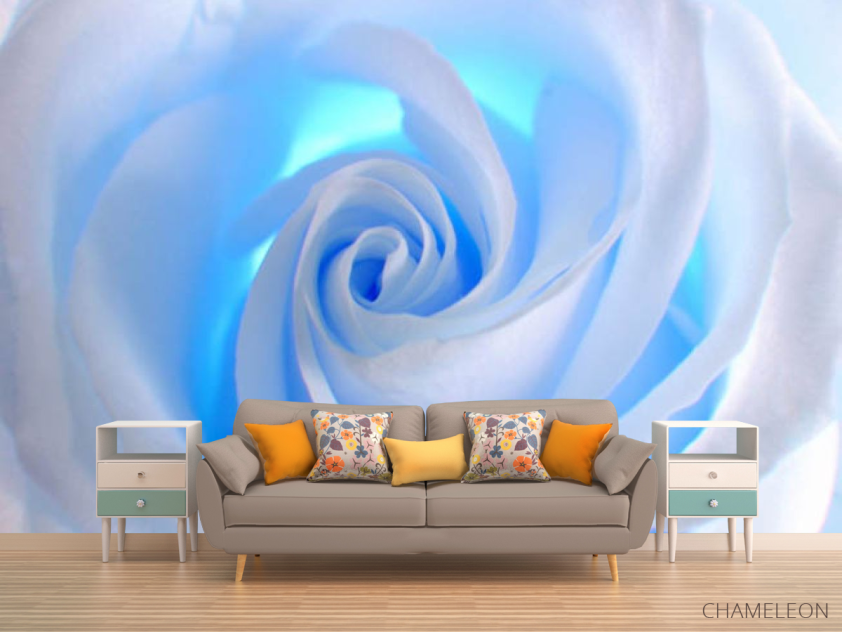 Фотообои роза - 1