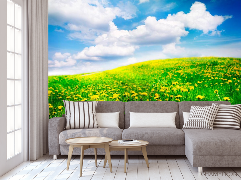 Фотообои Тучи, небо, луг - 3