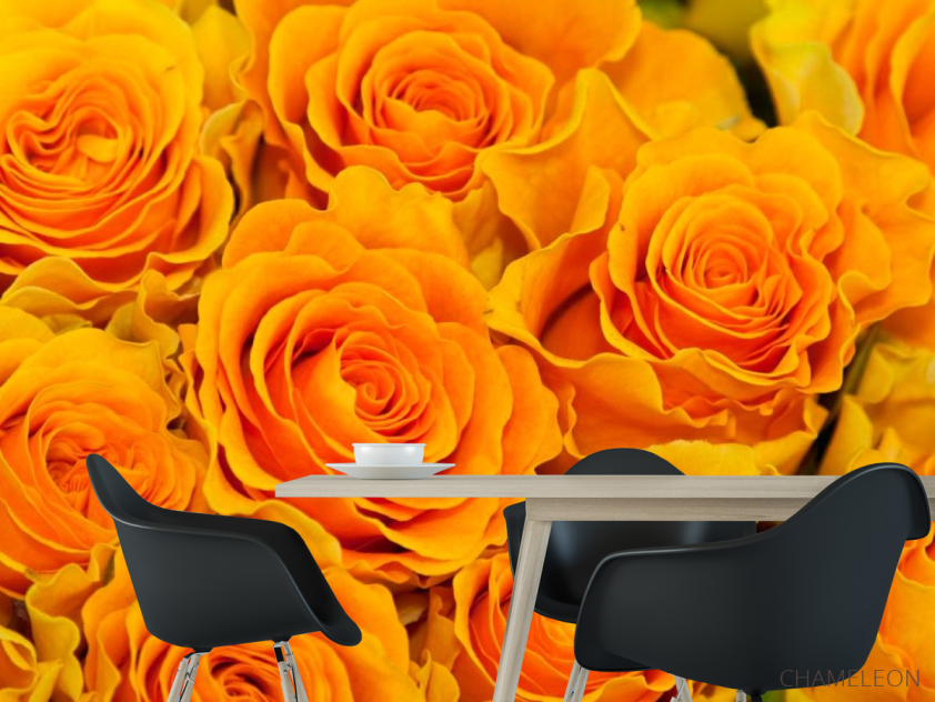 Фотошпалери Троянди жовтого відтінку - 1