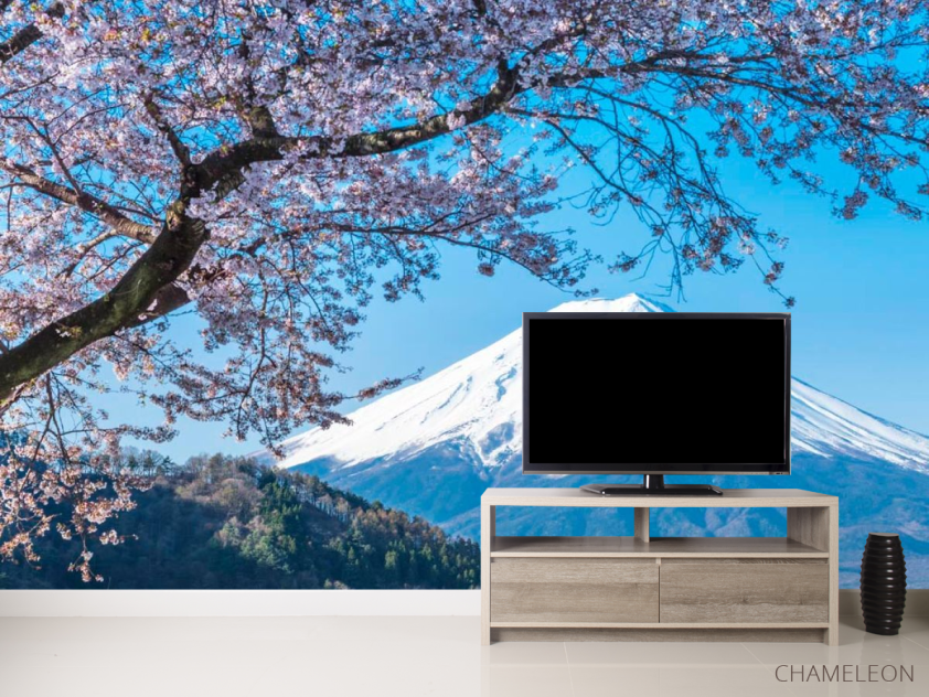 Фотообои Гора, снег,цвет - 2