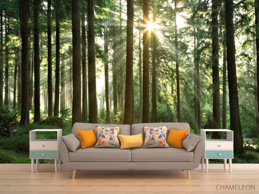 Фотообои лес со стройными деревьями - 1