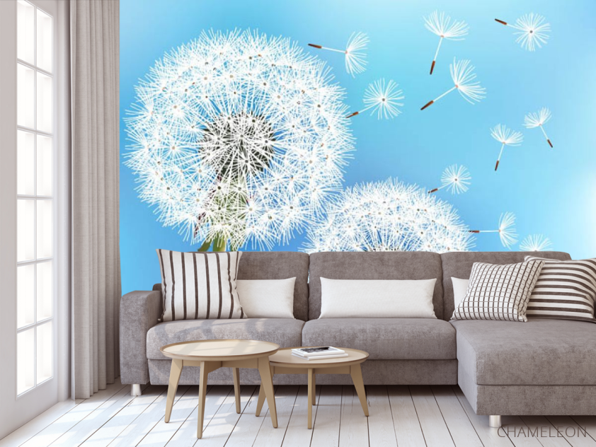 Фотообои одуванчики - 3