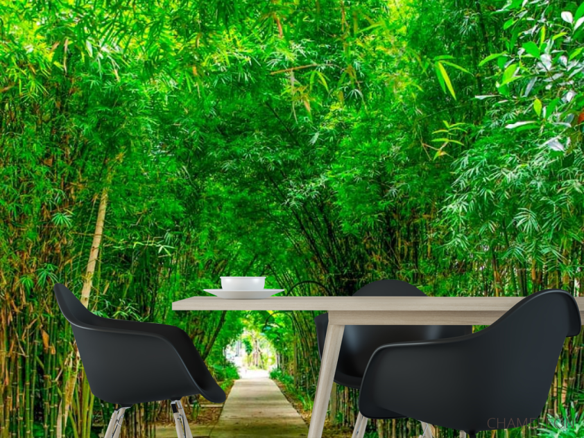 Фотошпалери Бамбук, дорга, плита - 1