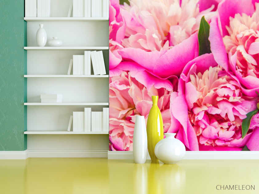Фотошпалери Яскраво рожеві півонії - 3