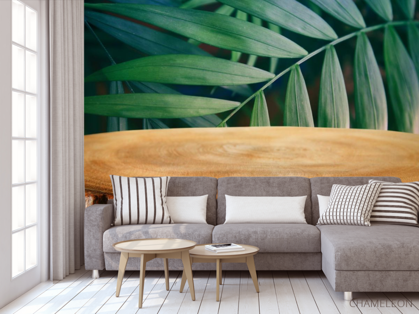 Фотообои пенек в лесу - 3