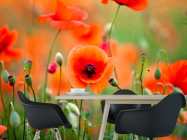 Фотошпалери Поле і маки - 1