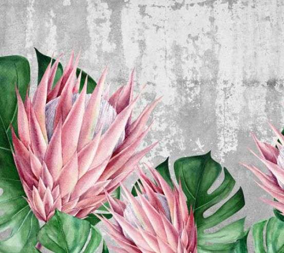 Фотошпалери квіти протеї Фотошпалери квіти протеї 30011