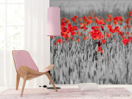 Фотошпалери Червоні маки на тлі чб - 4