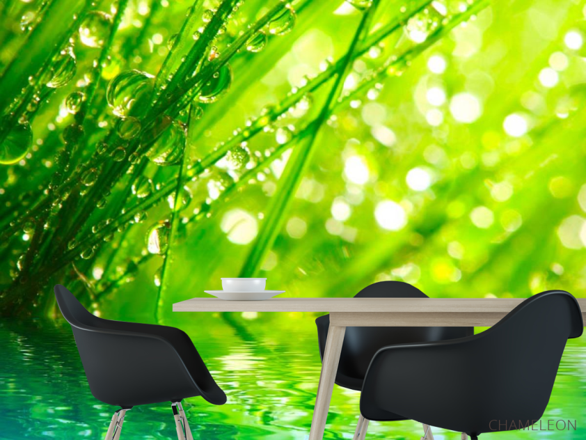 Фотошпалери Трава в росі - 1