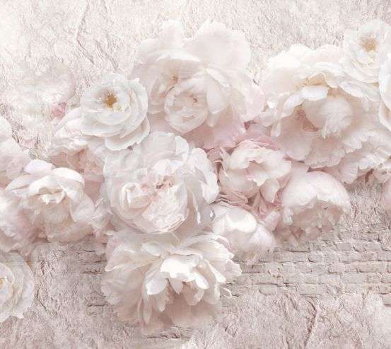 Фотообои Белые пионы шероховатая стена Фотообои Белые пионы шероховатая стена 23941