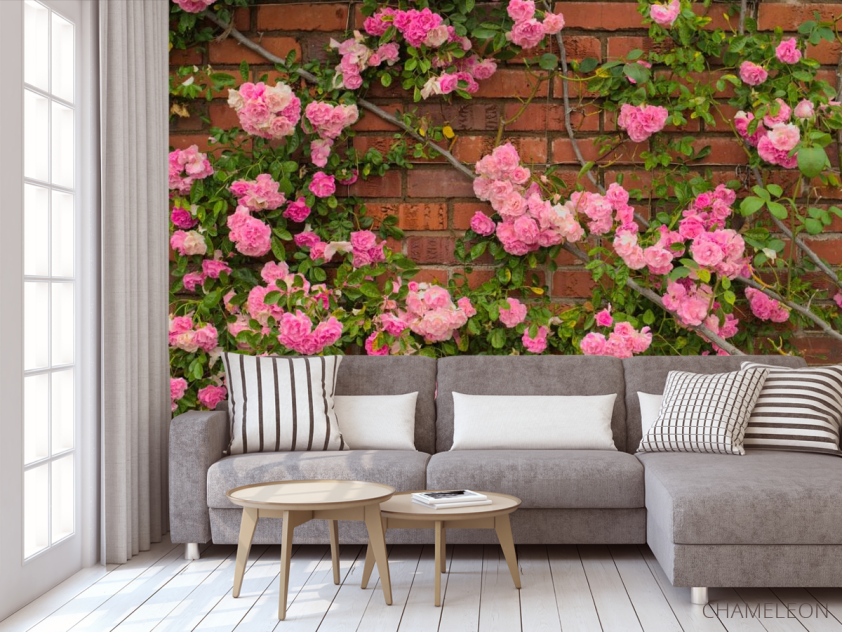 Фотообои чайная роза на кирпичной стене - 3