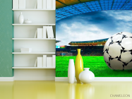 Фотошпалери Арена перед грою - 3