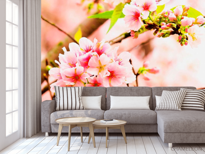 Фотообои Соцветия розовых цветов - 3