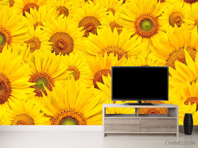 Фотообои Поле из подсолнухов - 2