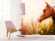 Фотошпалери Кінь серед трав - 4