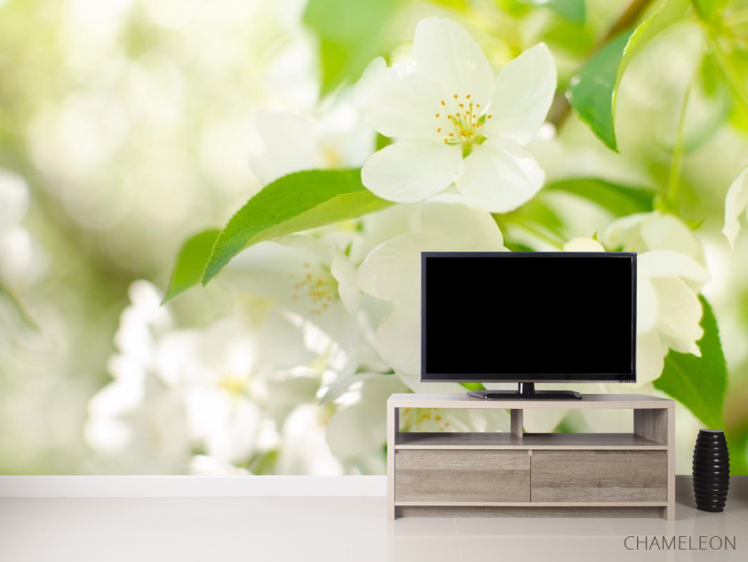 Фотообои белые цветочки на деревьях - 2