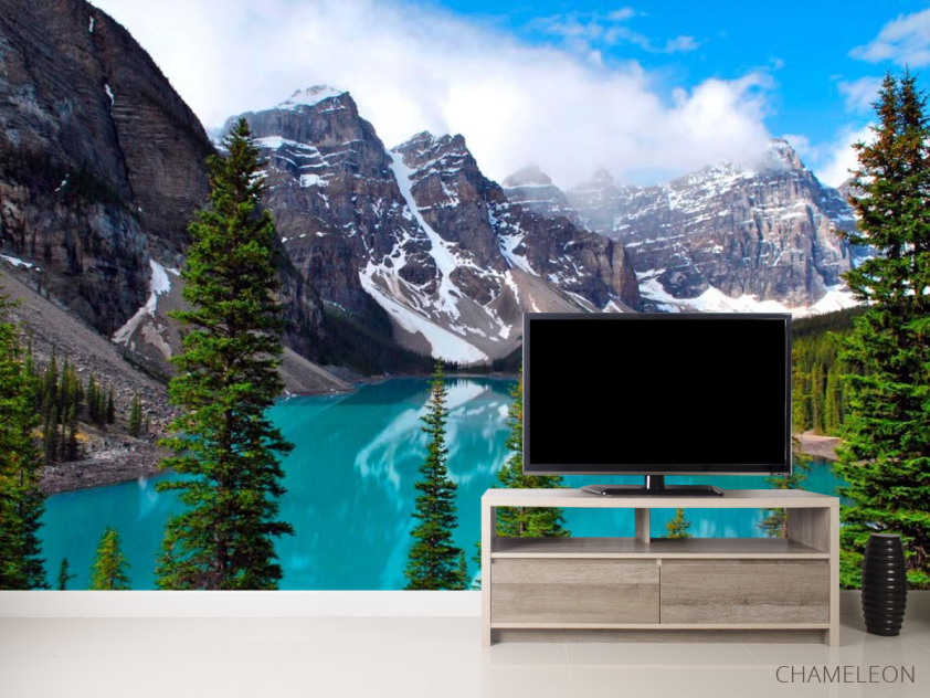 Фотообои Скалы, вода, ёль - 2