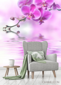 Фотообои розовая орхидея над водой - 3