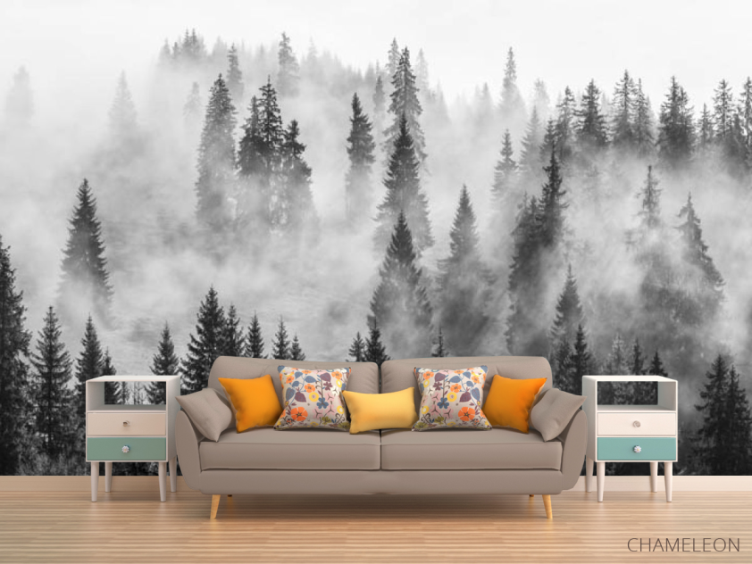 Фотообои Туманные ели - 1