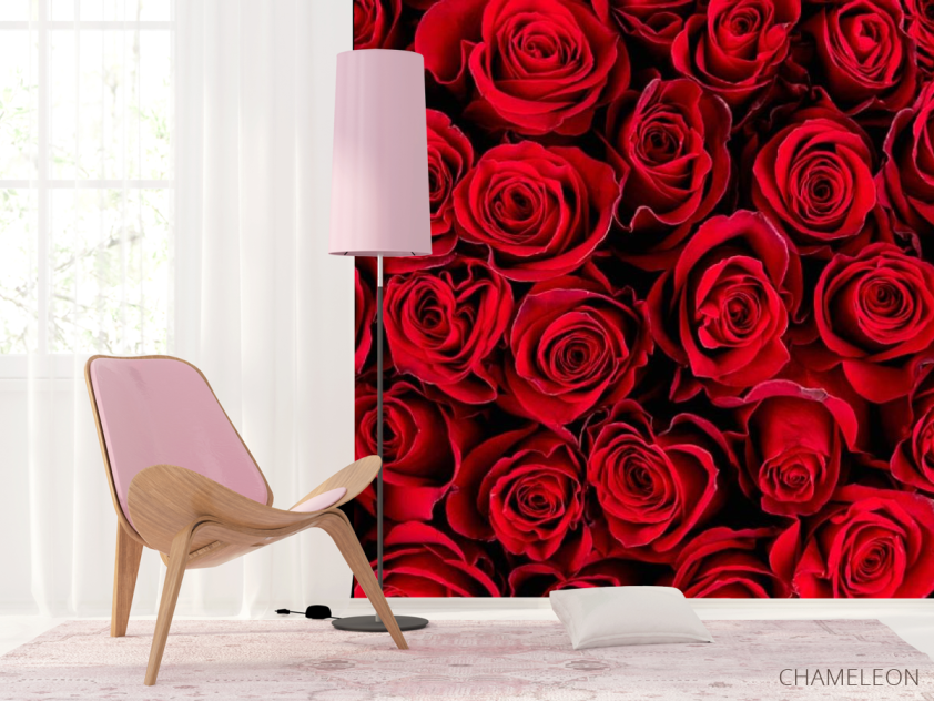 Фотошпалери red roses - 4