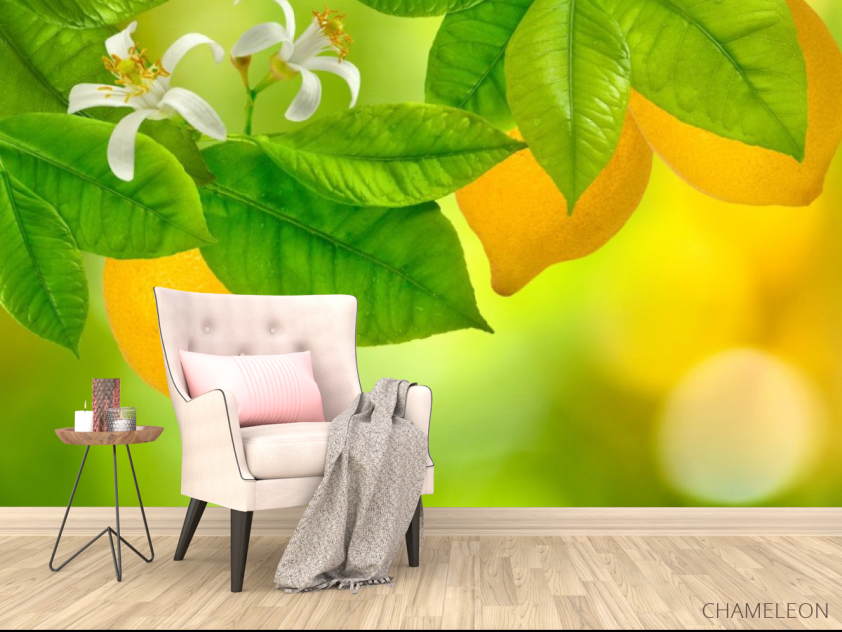 Фотообои Лимон - 4