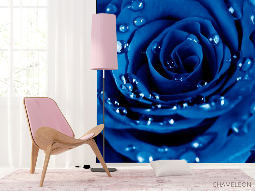 Фотошпалери Роза яскраво-синя - 4