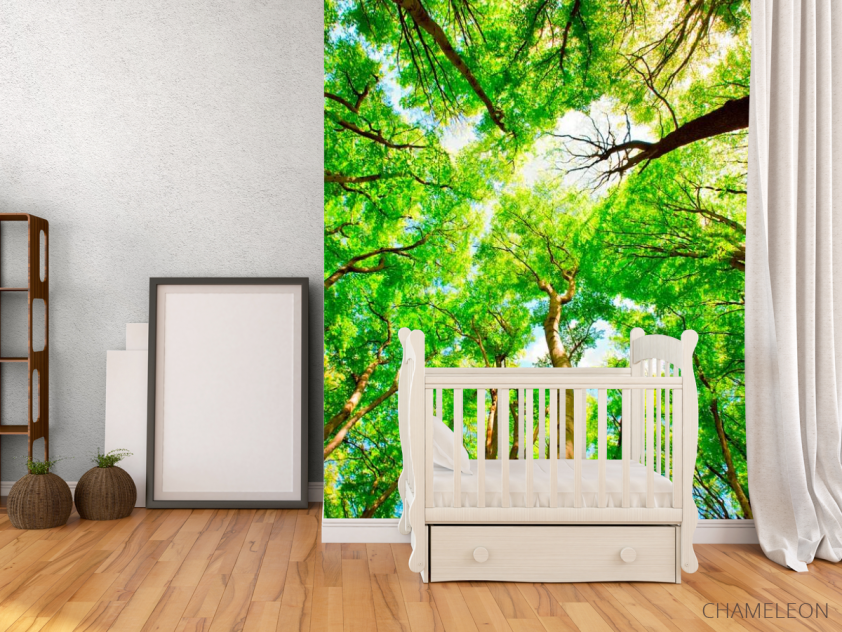 Фотообои Тонкие деревья - 2